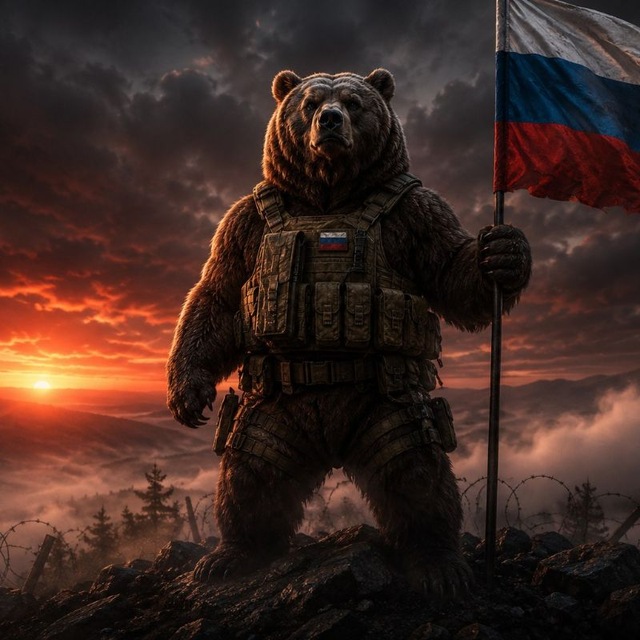 ZOV МЕДВЕДЯ